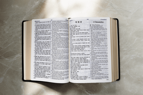 개역한글-NKJV 성경책 (Bible)