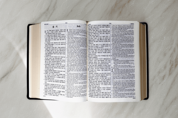 개역한글-NKJV 성경책 (Bible)