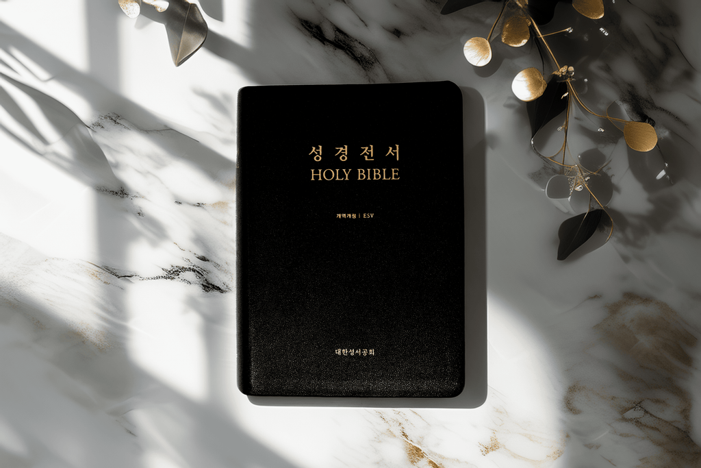 한영 성경 (개역개정 + English Standard Version)