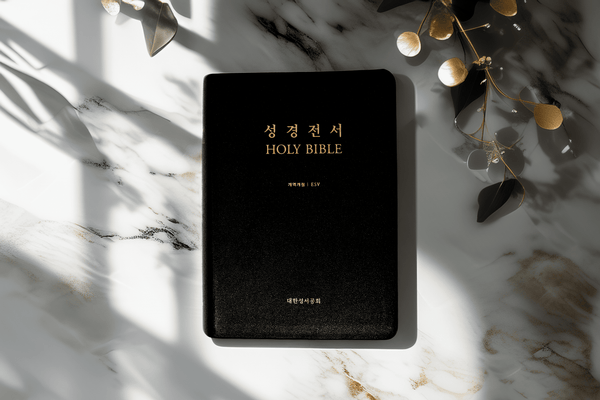 한영 성경 (개역개정 + English Standard Version)