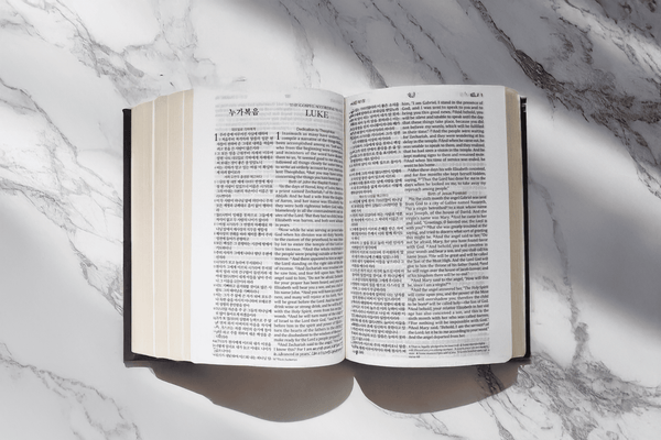 한영 성경 (개역개정 + English Standard Version)